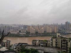 -李子坝梁山鸡(李子坝大鸡哥店)