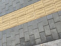 -羲和雅苑•北京烤鸭(国贸商城店)