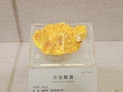 -湖南省地质博物馆