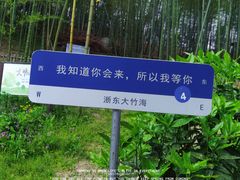 -宁波浙东大竹海景区