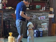 -小草屋轰趴馆别墅派对新场团建家庭聚会