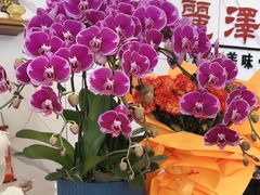 -丽泽山庄·生态怀柔菜·虹鳟鱼(红螺寺店)