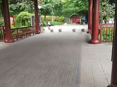 -重庆彩云湖湿地公园