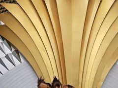 -碧中海汤泉汗蒸酒店