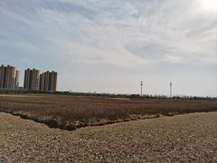-映月湖中央公园