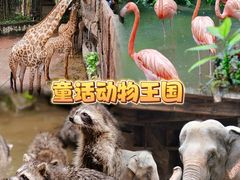 -长鹿旅游休博园