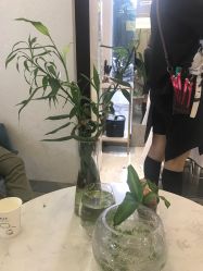 -菲·木田moontin造型salon
