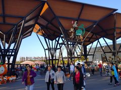 -上海长兴岛郊野公园