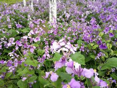 -白塘生态植物园