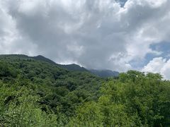 -秦岭风景区