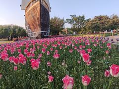 -长春公园(普阳街道)