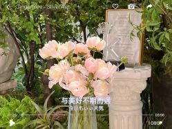 -MuseMarry婚纱(前海嘉里中心店)