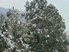 -云龙山