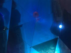 -青岛东方影都融创水世界