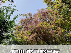 -周口店坡峰岭风景区
