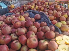 -南坛综合农贸市场