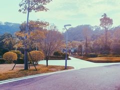 -飞凤山奥体公园
