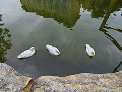 -灵玲国际马戏城