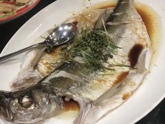 -九朝会昆曲·宴(望京店)
