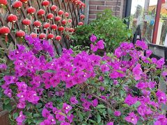 -老鼎万春卤菜(五代传承创始老店)