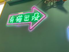 -十年猫舍·猫咪专门店(普陀店)