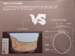 -隋唐大运河文化博物馆
