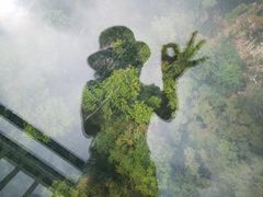 -塔云山