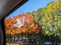 -金湖港式餐厅(建外店)