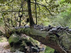 -龙苍沟森林公园
