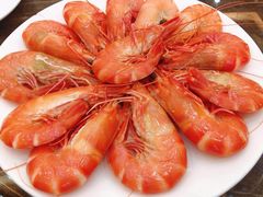 白灼九节虾-蚝专家(北滘店)