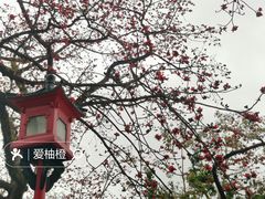 -广州中山纪念堂