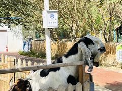 -水上乐园·欢乐世界