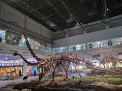 -自贡恐龙博物馆
