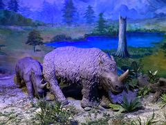 -中国第四纪冰川遗迹陈列馆