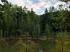 -广州市帽峰山景区