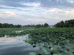 -长春市南湖公园