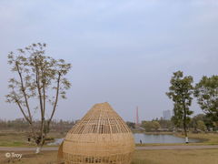 -桂溪生态公园