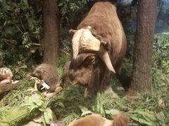 -陕西自然博物馆