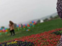 -紫颐香薰山谷景区