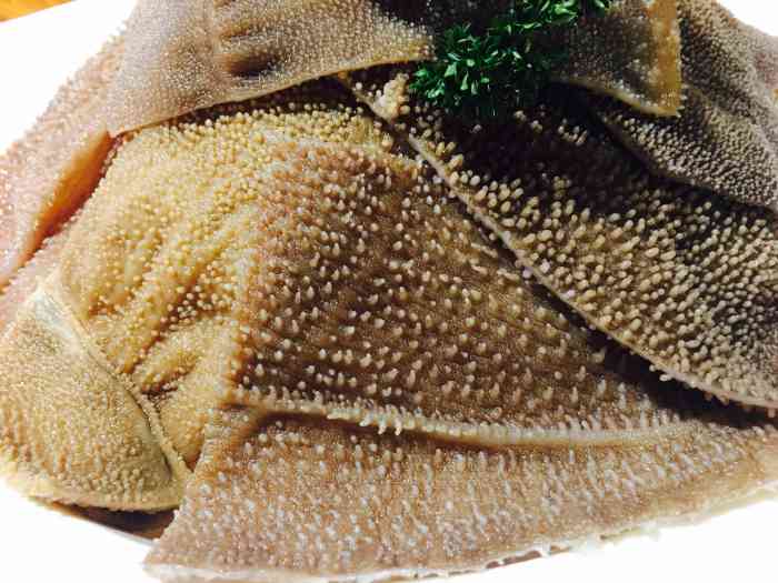 竹子头毛肚火锅-"整体可以,菜分量都比较足,有水果和小菜都.