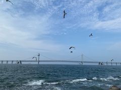 -星海广场