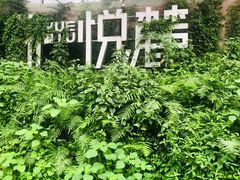 -茶颜悦色(岳麓山顶店)
