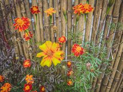 -辛庄国际文化艺术区