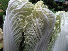 -毛辣果·贵州红酸汤牛肉火锅(西单店)