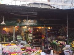 -曲阳花鸟市场(曲阳路店)