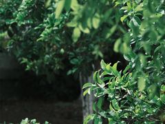 -锦溪古镇