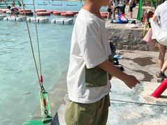 -东方巨龟苑景区