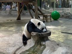 -栾川竹海野生动物园