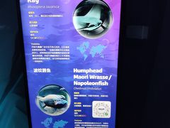 -暹罗海洋世界