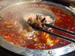 -巴倒烫陆派重庆火锅(南山店)